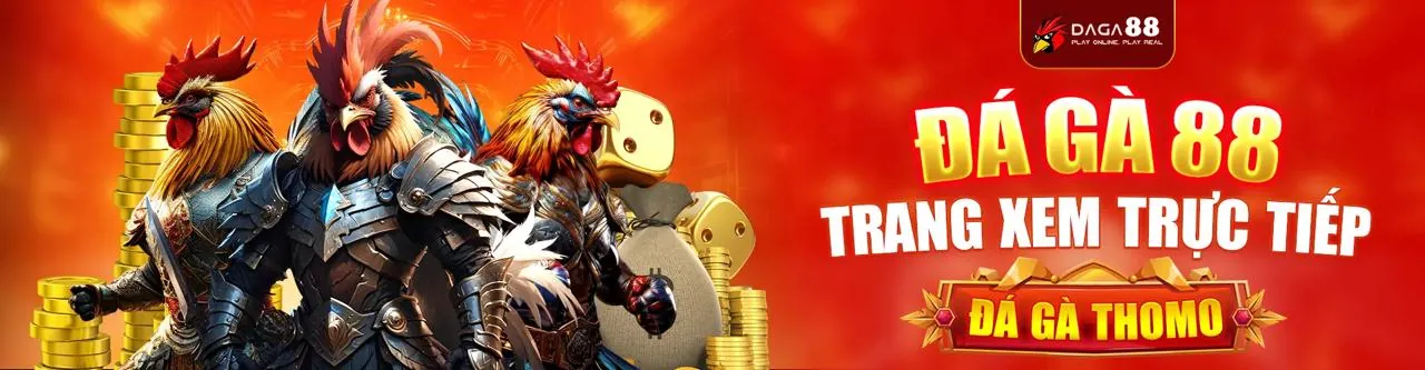 Hình ảnh đội ngũ g6bet app làm việc chuyên nghiệp